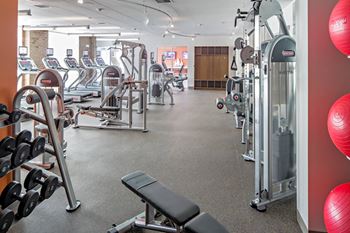 A gym with cardio equipment and weights on the floor